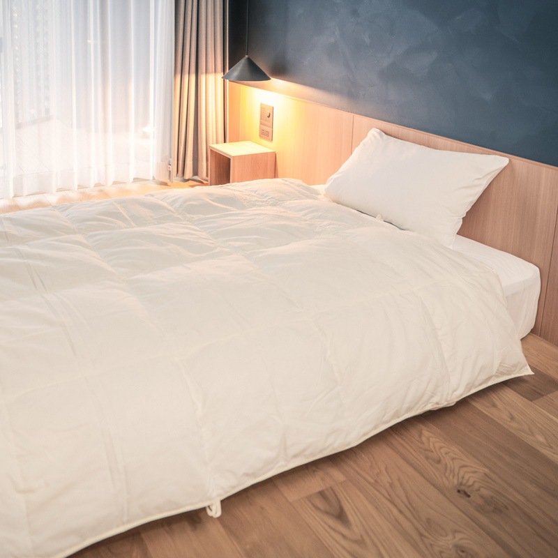 ��SALE��ŷ�Ȥο���̲���ӥեȥ� �����꿧 2�祻�å�