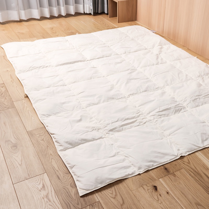 ��SALE��ŷ�Ȥο���̲���ӥեȥ� �����꿧 2�祻�å�