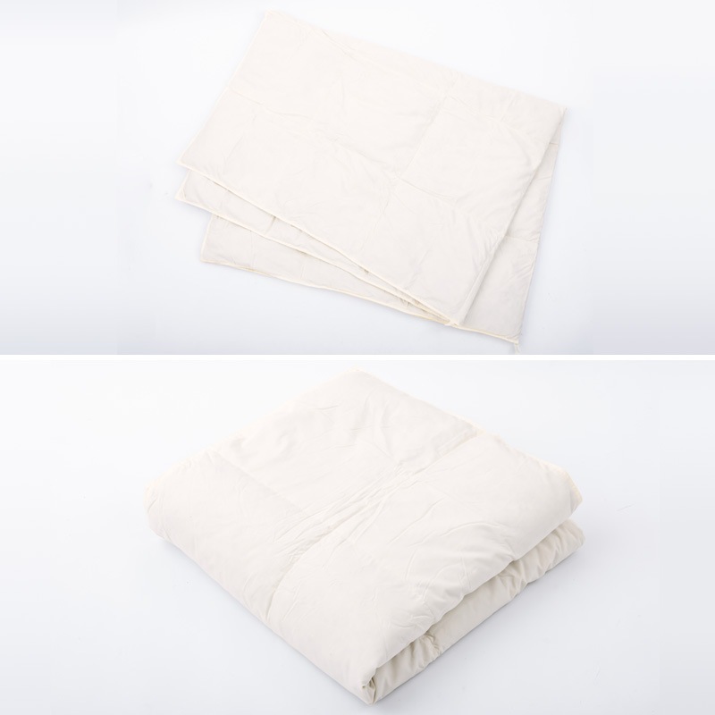 ��SALE��ŷ�Ȥο���̲���ӥեȥ� �����꿧 2�祻�å�