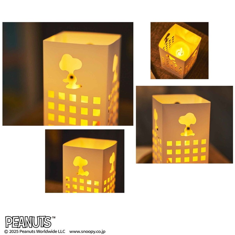 MonoMaster 2026ǯ1���