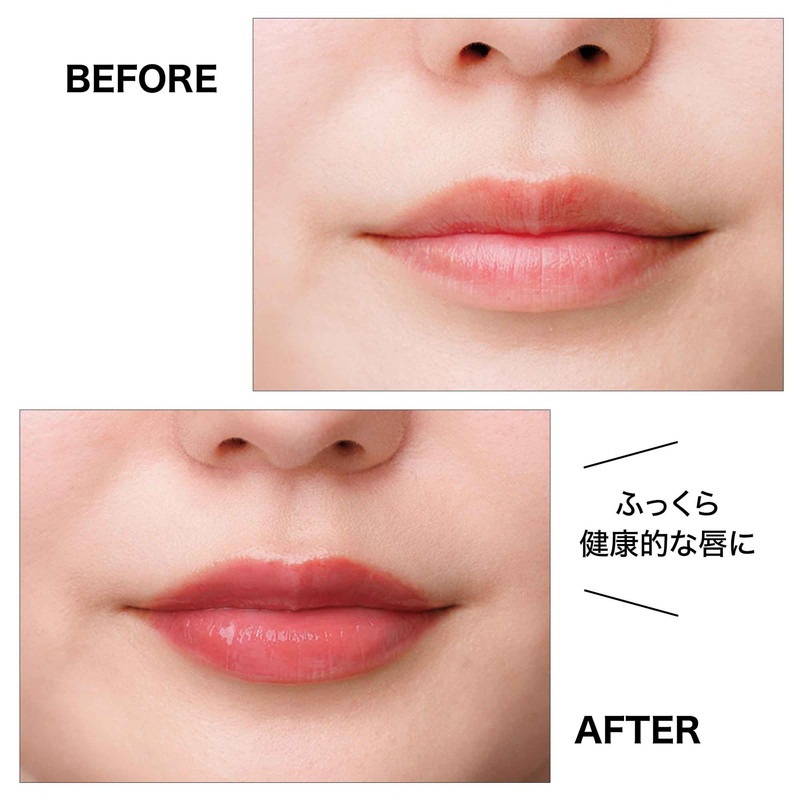 ���ȥʥߥ塼�� 2025ǯ1���