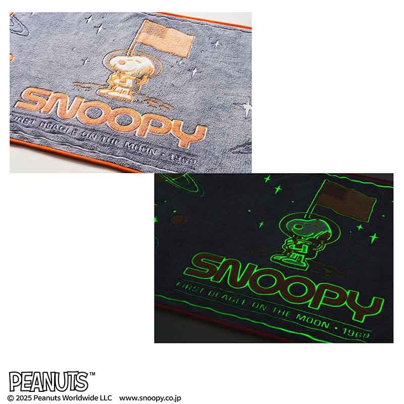 MonoMaster 2026ǯ1�������