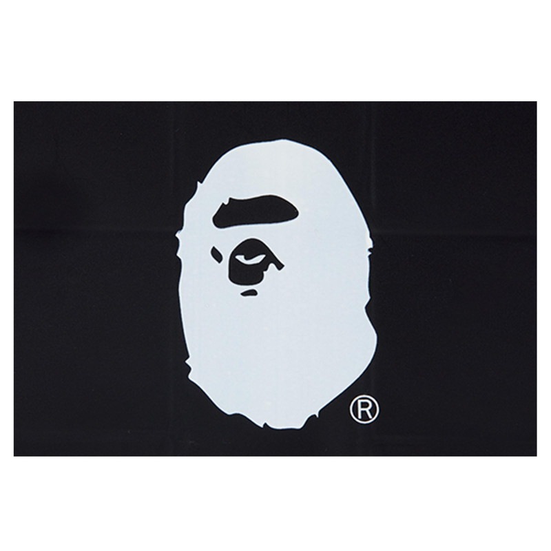 【smart スマート 2022年4月号 雑誌付録】ア ベイシング エイプ 整理収納コンテナボックス