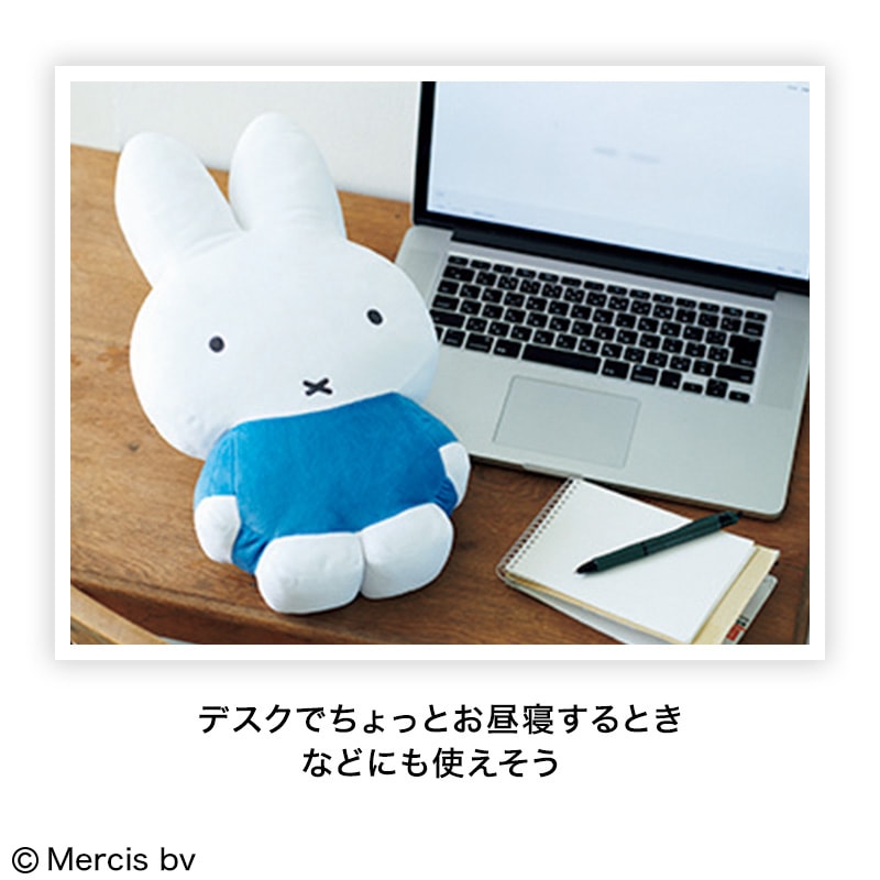 【リンネル 2022年9月号宝島チャンネル限定号 2 雑誌付録】抱きしめたくなるミッフィーふんわりクッション