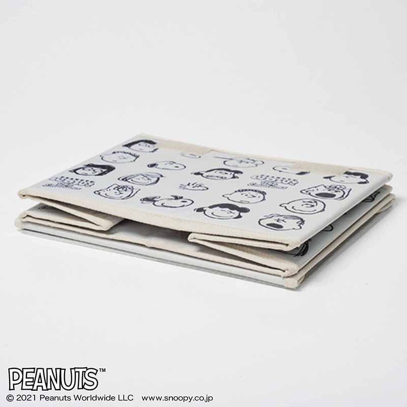 【steady.ステディ.10月号 雑誌付録 スヌーピー】インテリア収納ボックス