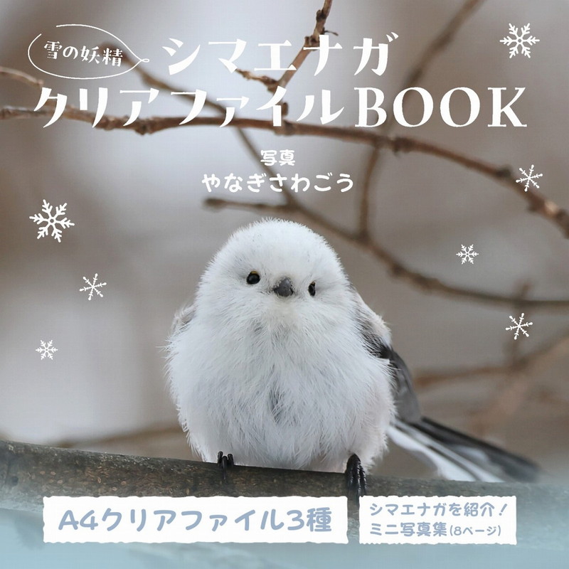 雪の妖精 シマエナガクリアファイルBOOK | 商品カテゴリ一覧,宝島社