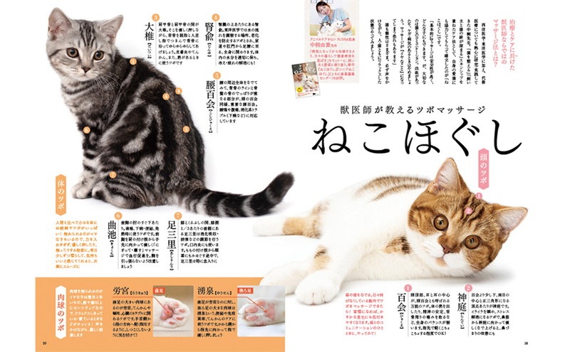 ��ͤΤ�������ġ�����Խ� ǭ����餹��