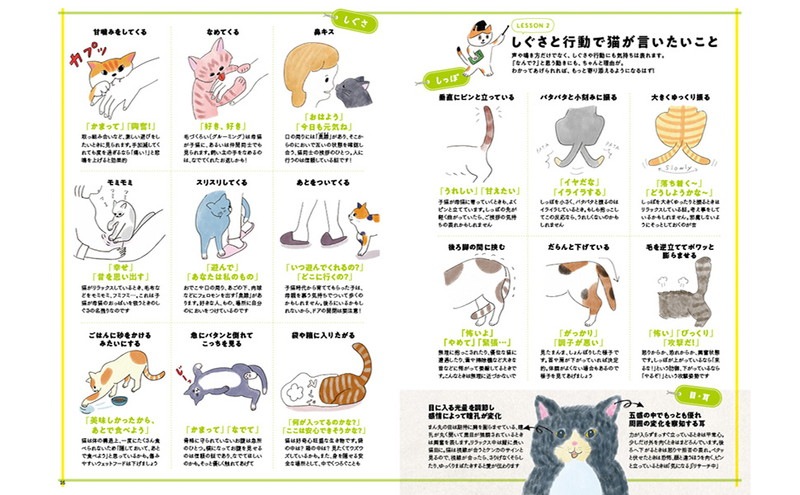 ��ͤΤ�������ġ�����Խ� ǭ����餹��