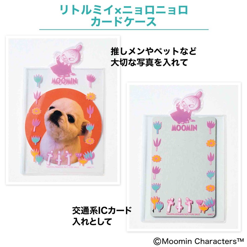 mini 2023ǯ5���