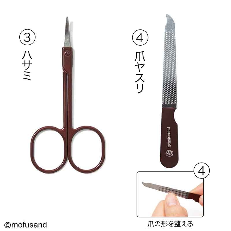 ��ͤΤ�������ġ 2026ǯ6�������