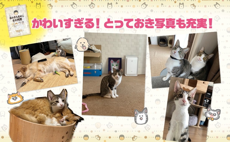 まめきちまめこ マルチポーチBOOK:9/29発売【ムック本付録】まめきちまめこ マルチポーチ、まめ図鑑