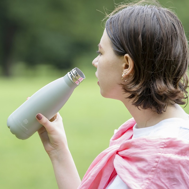 炭酸もOK! Fresh Sparkling 真空断熱 保冷保温ステンレスボトルBOOK ICE GREY Ver.：10/12発売【ローソン、HMV、HMV&BOOKS online限定付録】真空断熱 保冷保温ステンレスボトル ICE GREY Ver.