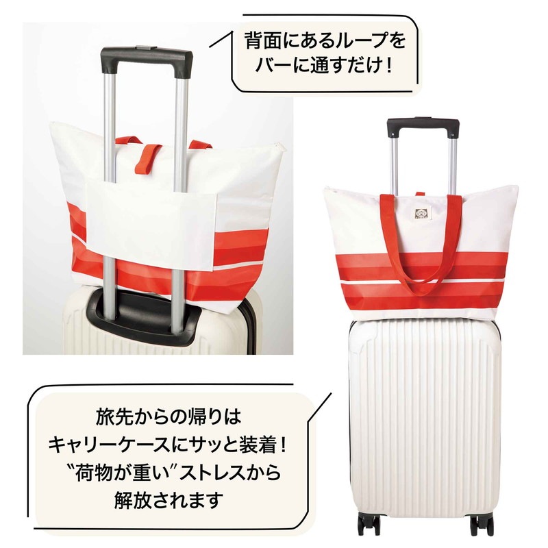 ��Ũ�ʤ��ο� 2024ǯ6���