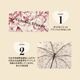 JILL by JILL STUART UMBRELLA BOOK FLOWER ver.