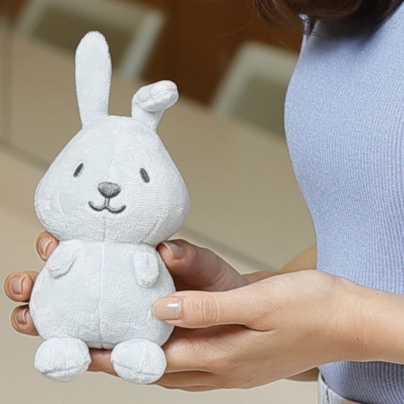 ラヴィット！ がんばれ! ラッピーのお仕事 BOOK!(TJMOOK)【ムック本付録】ラヴィット! ラッピー ぬいぐるみポーチ