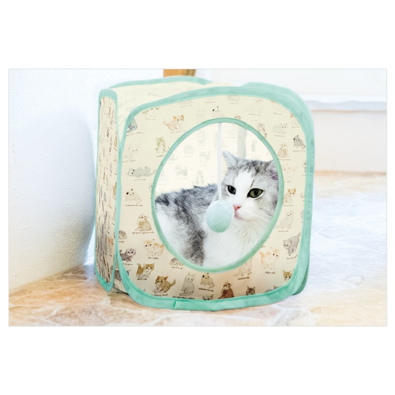 �ݥ�ݥ�Ĥ��� ����åȥϥ���BOOK