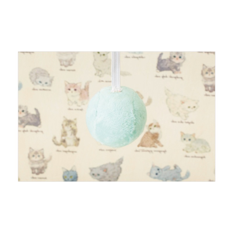 �ݥ�ݥ�Ĥ��� ����åȥϥ���BOOK