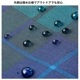 InRed 2025ǯ5���