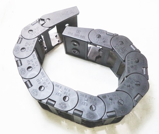 椿 楽天市場】椿（ツバキ） 湊晨侘助（ソウシンワビスケ）苗木 8号