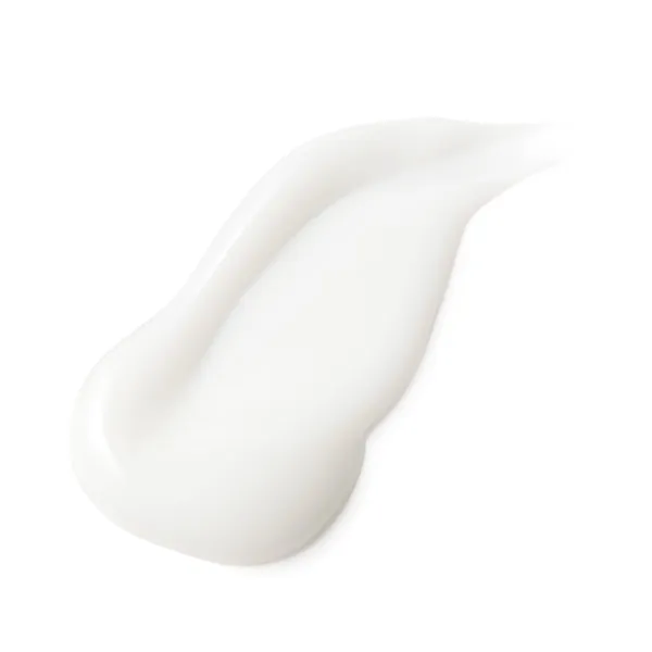 ABUR ե˥å㡼꡼S Shisui  100g