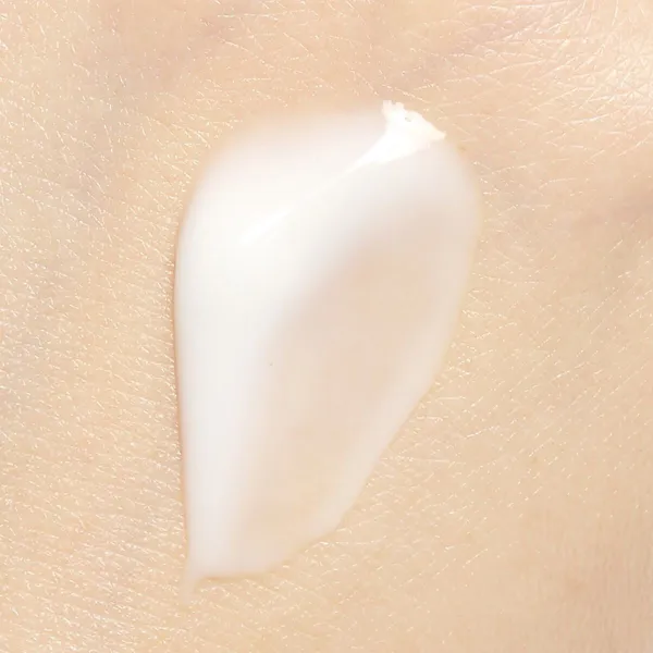 ABUR ե˥å㡼꡼S Shisui  100g