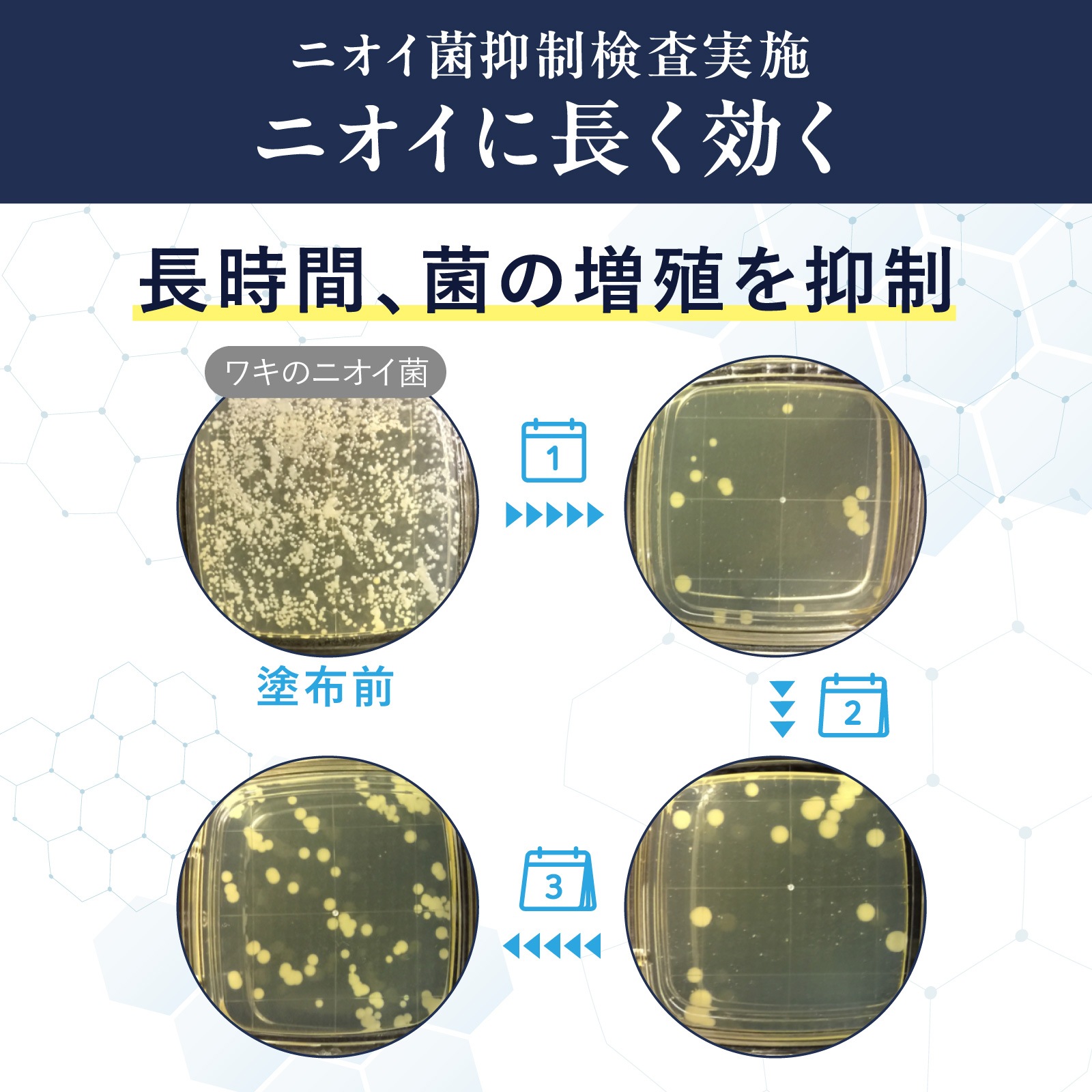 եʥǥץ饹 ѥǥɥȥ꡼ 25g