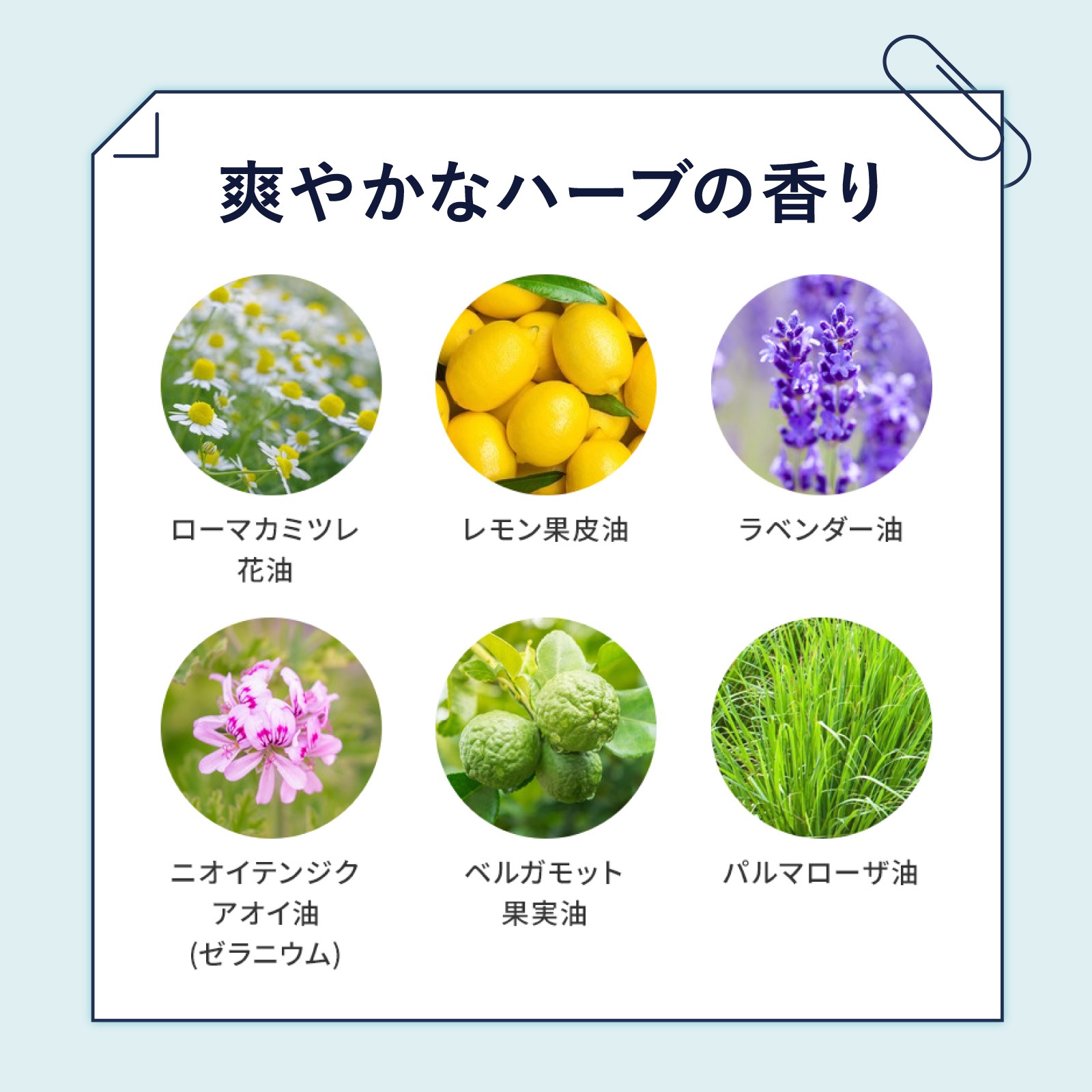 եʥǥץ饹 ѥǥɥȥ꡼ 25g