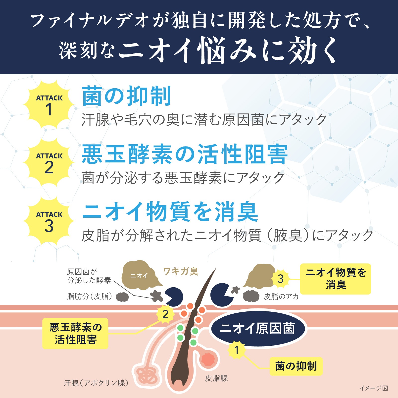 եʥǥץ饹 ѥǥɥȥ꡼ 25g