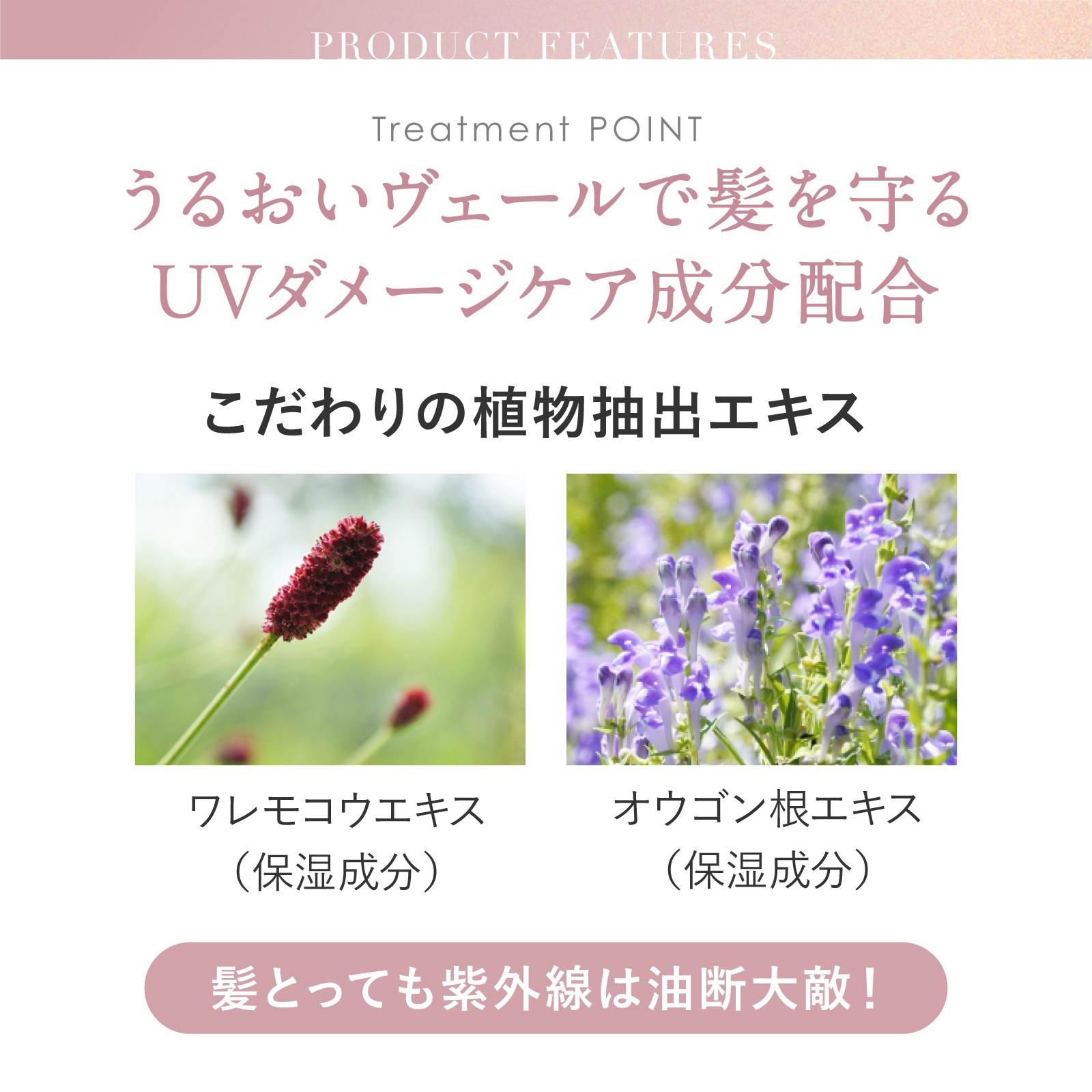 �ڤĤᤫ���ѡۥ��ߥΥޥ����� �ǥ����ץ�ڥ��إ��ȥ꡼�ȥ��� 400g