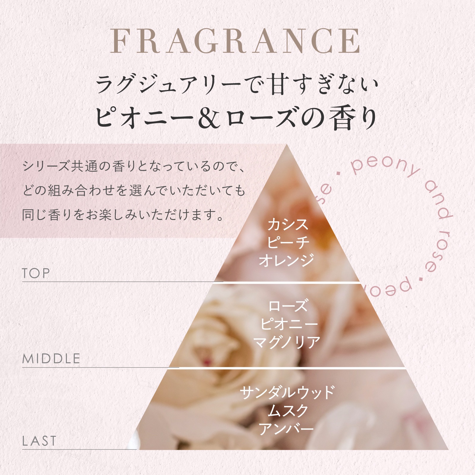 ���ߥΥޥ����� �ǥ����ץ�ڥ��إ��ȥ꡼�ȥ��� 500g