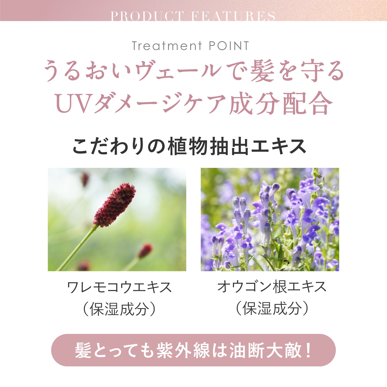 ���ߥΥޥ����� �ǥ����ץ�ڥ��إ��ȥ꡼�ȥ��� 500g