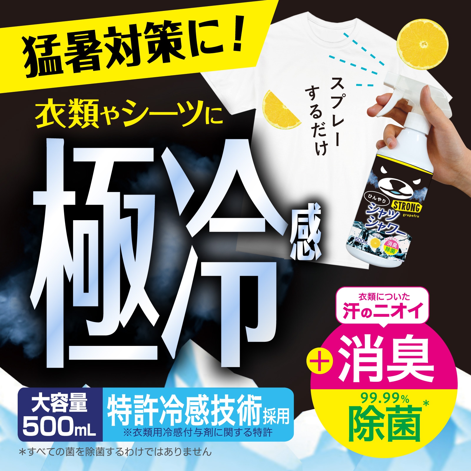 ڥܥȥۤҤꥷĥ ȥ󥰡졼ץե롼Ĥι 500mL