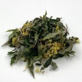 【2023　クロモジ茶　春摘み花茶】　日本の香木、清々しい春の香り・・