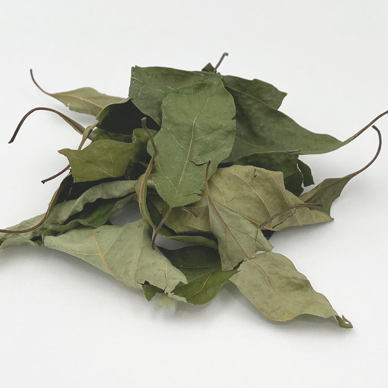 【クロモジ茶 2025夏摘み】 心の緊張をほぐすような、美しい香り