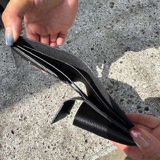 Hold Wallet Small