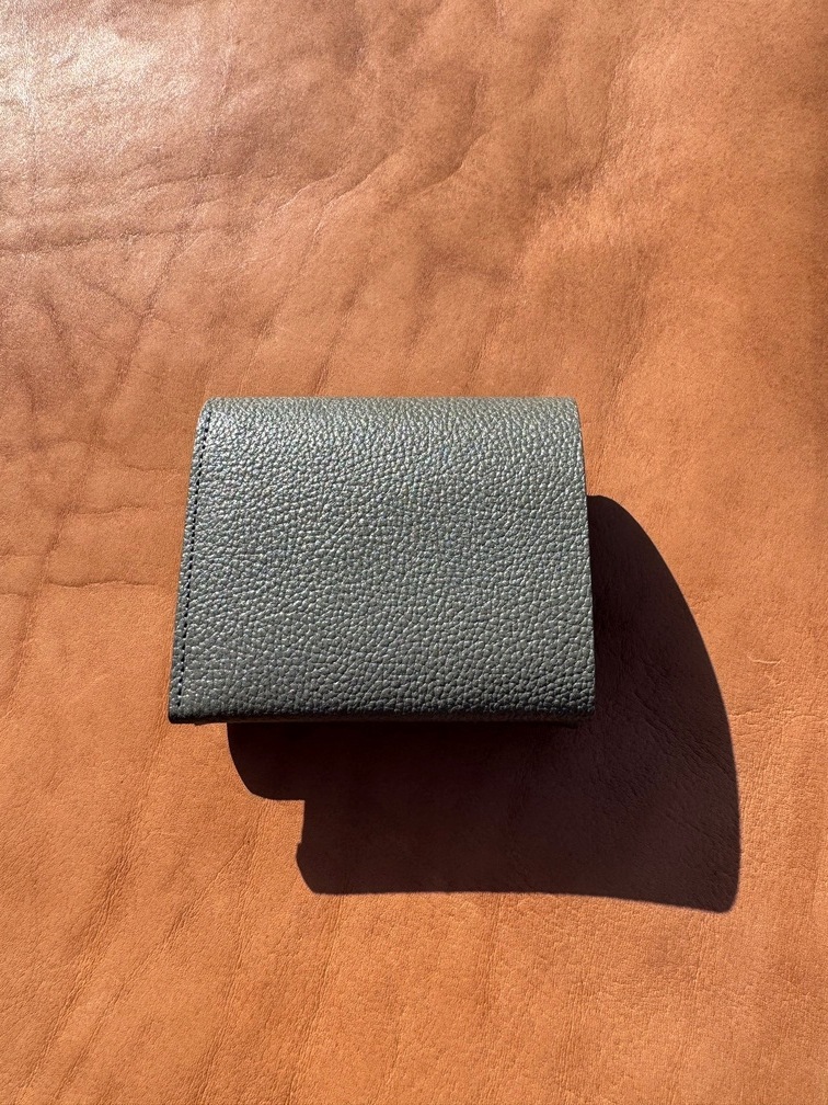 Hold Wallet Small