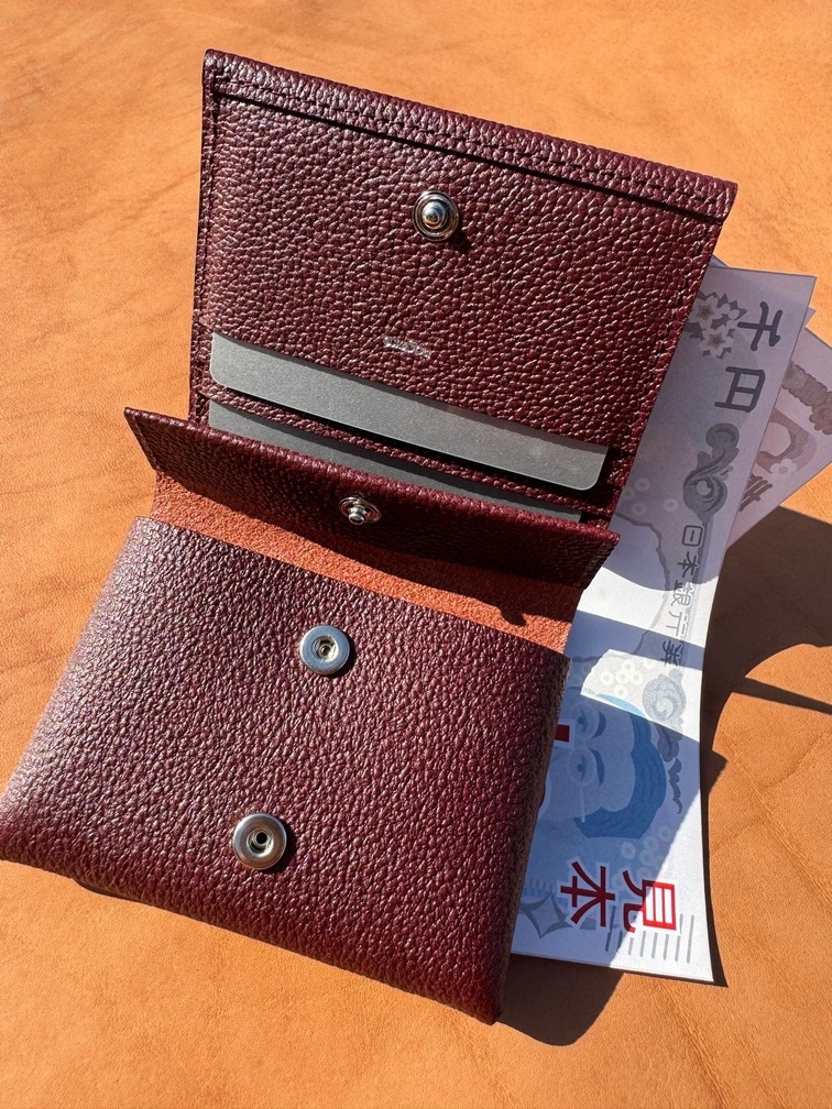 Hold Wallet Small