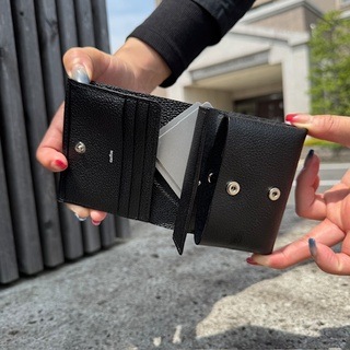 Hold Wallet Small