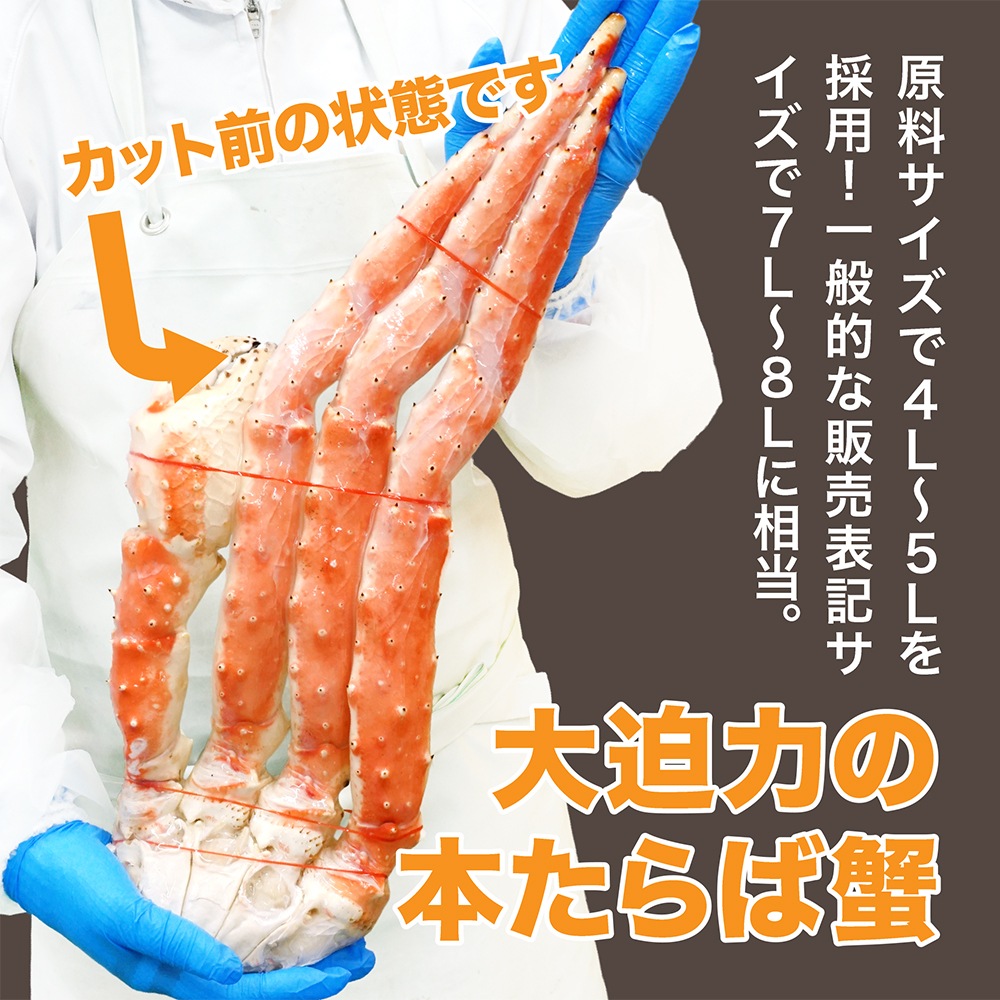ܥ륿Х ϡեݡ åȺѤ Ķ1.6kg(1.8kg)