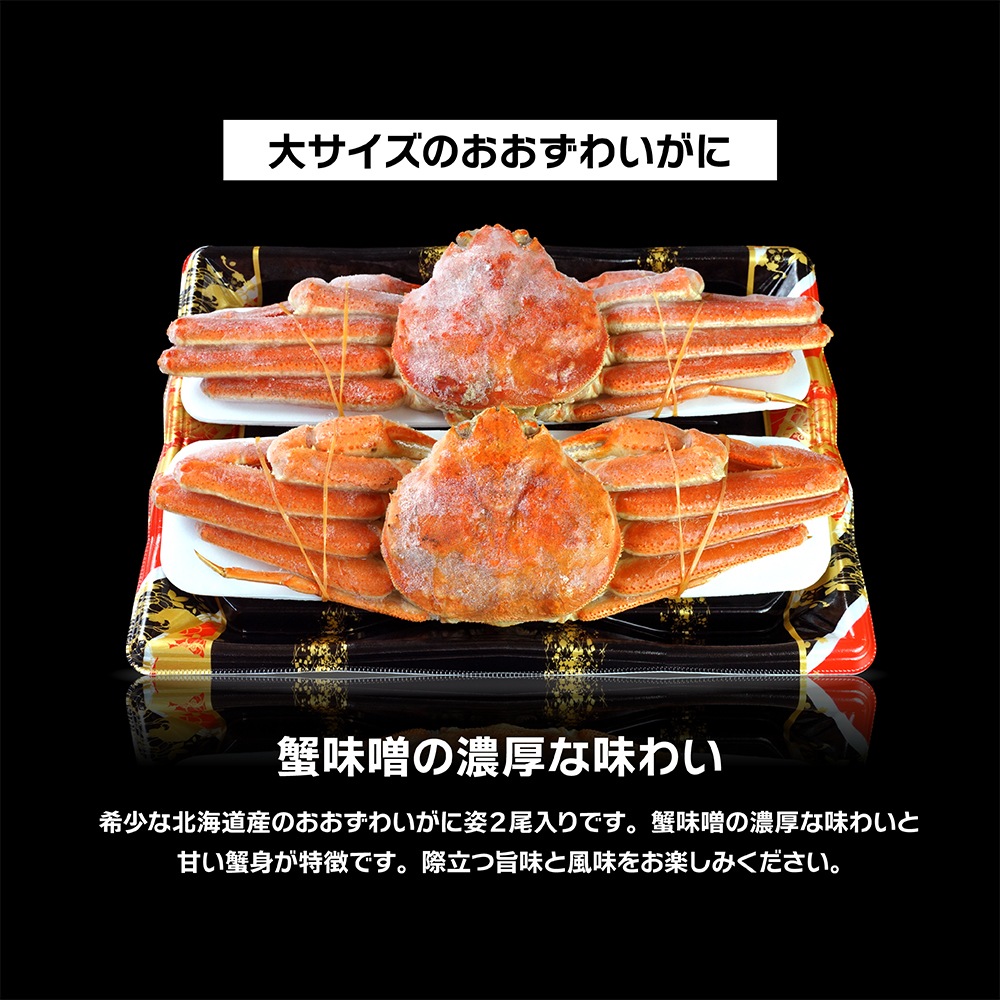 �̳�ƻ�� �������磻���� �� L������ 2�����å�