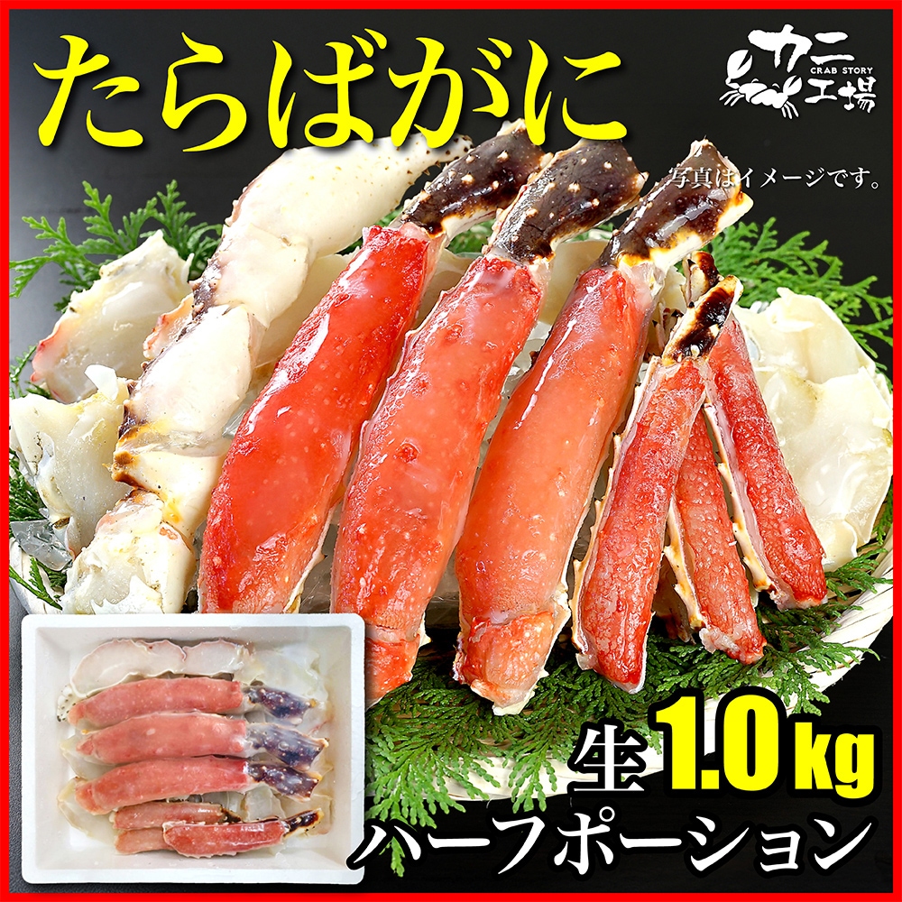 HaaaaaN Canopus 生写真 バラ売り HaaaaaN Canopus 生写真 バラ売り HaaaaaN Canopus 生写真 バラ売り