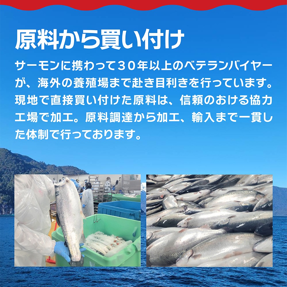 ���⡼��������� �����ॹ�饤�� ��̳��500g�ѥå�