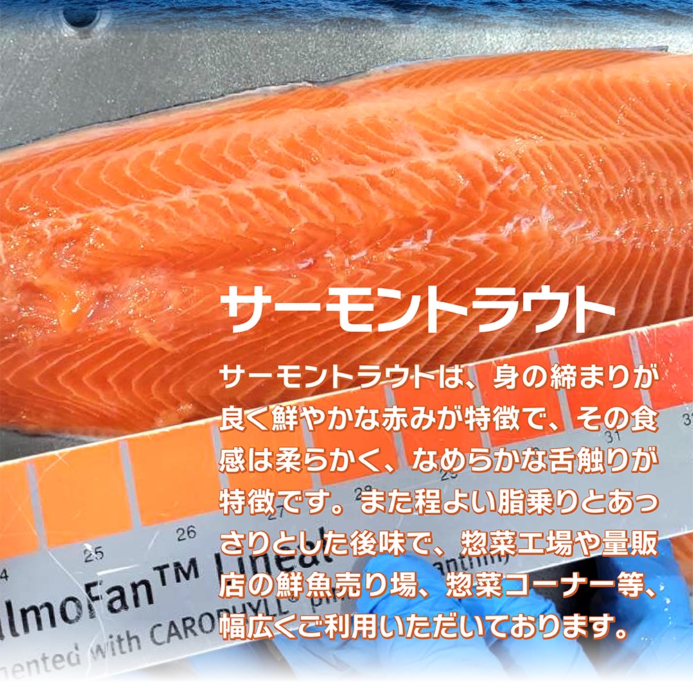 ���⡼��������� �����ॹ�饤�� ��̳��500g�ѥå�