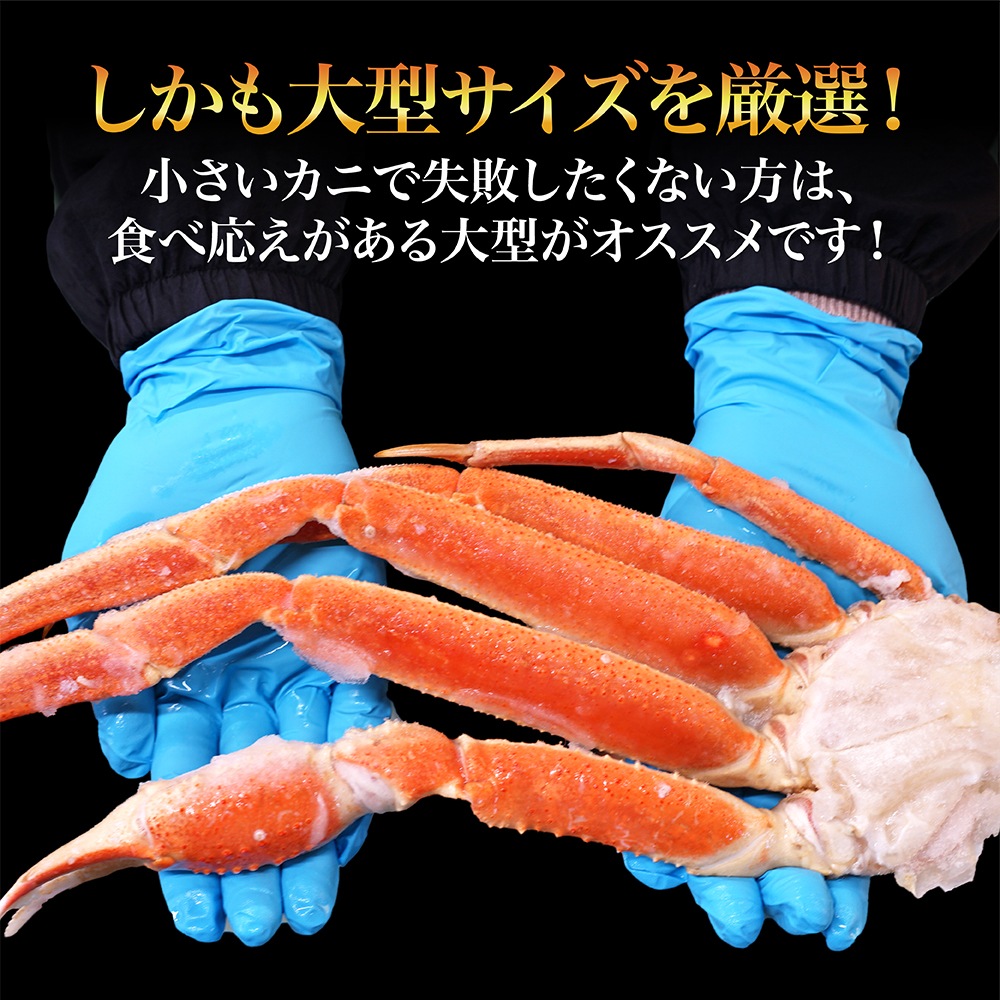 ܥ륺磻  2.5kg