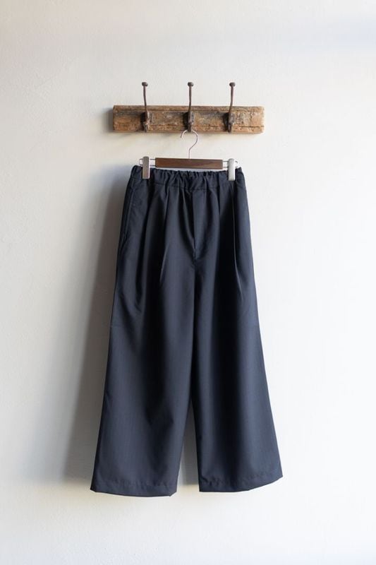 TRAVAIL MANUEL トラバイユマニュアル | TWトロストライプ 2タックワイドPTS Col : NAVY