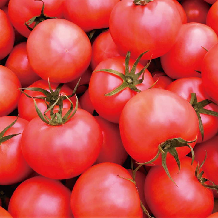 ���󤫤��ȥޥȤ��ɤ���ե�å���ȥޥȥ��åȡʥ������աˡ�2������2���å�