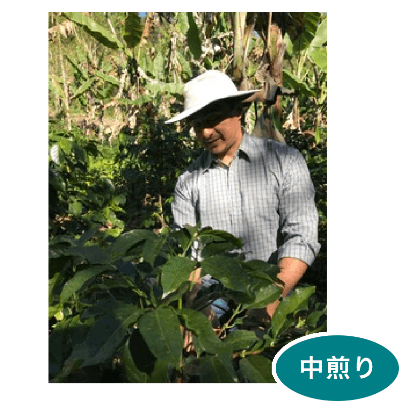 ƥޥ顡ϥˡҡ֥Х϶襵󡦥ꥹȥХ200g  ()