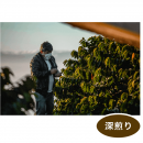 �֥饸�롡�£ӣã� ǧ�� Taste of Harvest  �֥��ƥ����������ȡ����100g      �ʿ������