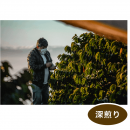 �֥饸�롡�£ӣã�ǧ�� Taste of Harvest �֥��ƥ����������ȡ����200g (�������