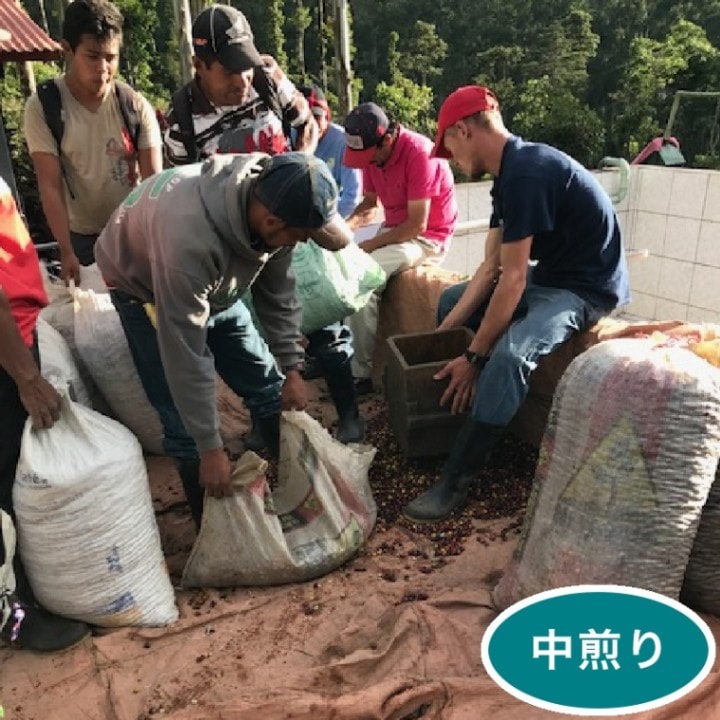 �˥��饰���֥��롦���åĥ����� JAVA��100g  (������)